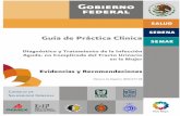 Guía de Práctica Clínica - consulta.vhs.com.mxconsulta.vhs.com.mx/guias_clinicas/IMSS-077-08-ER.pdf · incluye evidencias y recomendaciones y declaran que no tienen conflicto de