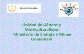 Acuerdo Gubernativo número 260-2013 (publicado el viernes ...³n-UGM-MEM-Enero... · como objetivo dentro del Plan de Acciones y Actividades 2015 llevar a cabo el proceso de transversalización