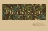 Hierba Santa - designblog.uniandes.edu.codesignblog.uniandes.edu.co/blogs/dise3144/files/2016/05/hierbatero1.pdfWayúus de xxx - Video - 5 testimonios de abuelos wayúus (experiencias