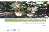 12. INFORMACIÓN SOBRE COMPLEMENTARIEDAD · - Plan Andaluz de la Producción Ecológica. - Estrategia Integral de Fomento del Turismo de Interior Sostenible de Andalucía Horizonte