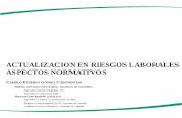 ACTUALIZACION EN RIESGOS LABORALES ASPECTOS …bioeticadeltrabajo.org/bioeticalaboral/content/actualizacionriesgos.pdf · Reglas para la afiliación: Se establece la tabla de cotizaciones