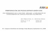 PERFORACIÓN DE POZOS ESTRATIGRÁFICOS - Colombia€¦ · 6. Se presentaron flujos de gas en los pozos P5, P7, P8-1, P8-2, P11, P10, P13, con presencia de hidrocarburos líquidos