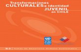 pnud injuv pdf - PASApasa.cl/wp-content/uploads/2011/08/Transformaciones_Culturales_e... · Transformaciones culturales e identidad juvenil en Chile 9 cuesta arriba formar un sentido