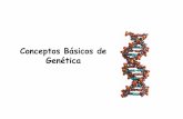 Conceptos Básicos de Genética - fernandotuya.orgfernandotuya.org/wp-content/uploads/2010/10/2.-genética-generalidades.pdf · y ADN plasmidial (Bacterias y algunas algas). • Organismos