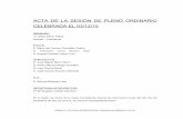 ACTA DE LA SESIÓN DE PLENO ORDINARIO CELEBRADA EL …static.malaga.es/municipios/subidas/archivos/0/3/arc_21030.pdf · En la Comisión Informativa ha sido informado favorablemente