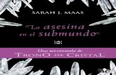 Libro proporcionado por el equipo - descargar.lelibros.onlinedescargar.lelibros.online/Sarah J. Maas/La Asesina en el Submundo (364... · La mirada se demoró en la cicatriz fina