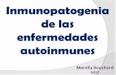 Inmunopatogenia de las enfermedades autoinmunes · Polimorfismos en IL23R: espondilitis anquilosante, enfermedad de Behcet, Enfermedad de Crohn, colitis ulcerativa, psoriasis . Factores