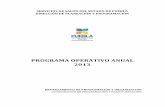 SERVICIOS DE SALUD DEL ESTADO DE PUEBLA DIRECCIÓN DE ...ss.pue.gob.mx/.../uploads/2017/03/SS_PROGRAMA_OPERATIVO_ANUAL_2013.… · Programa Operativo Anual,2013 Servicios de Salud