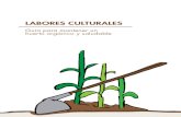 Guía para mantener un huerto orgánico y saludablealternativascc.org/wp-content/uploads/2018/05/labores-culturales_web-1.pdf · sostenibles para garantizar seguridad alimentaria
