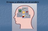 Drogas y efectos en el cerebro - ssccmanquehue.cl°Medio/Biología/ppt drogas y... · diferentes funciones y cada una de estas tiene su propia combinación de neuronas y neurotransmisores.