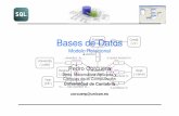 Bases de Datos - personales.unican.es · es lo que se llama relación . Las relaciones (tablas) poseen un nombre que refleja su contenido Bases de Datos 7 – Los datos almacenados