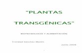 “PLANTAS TRANSGÉNICAS” - cosmolinux.no-ip.orgcosmolinux.no-ip.org/recursos_aula/BIO1erBAT/Enginyeria_genetica/... · transgénicos en la actualidad, hablan de los efectos primarios