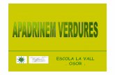ESCOLA LA VALL . OSOR - escolesxesc.catescolesxesc.cat/documents/alumnes_pri/F_Girona_AP_Esc La Vall.pdf · Escola La Vall curs 2009 - 10 LA PLANTA DE L’ALL La planta de l’all