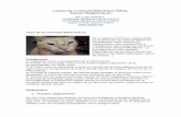 Leucemia e Inmunodeficiencia felina: Claves Diagnósticasgattos.net/.../6ALeucemiaeInmunodeficienciafelinaClavesdiagnosticas.pdf · Leucemia e Inmunodeficiencia felina: Claves Diagnósticas