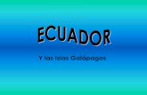 Y las Islas Galápagos - ecotec.edu.ec · 7 Flora y Fauna •Flora – Región de Oriente: Pluviisilva Ecuatorial > árboles altos de hoja grande •Caucho (Hevea Brasiliensis), lianas,