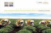 RECONVERSIÓN PRODUCTIVA DE LA AGRICULTURA · RECONVERSIÓN PRODUCTIVA DE LA AGRICULTURA 6. REVISIÓN DE CASOS EXITOSOS Y PROBLEMÁTICOS 6.1. El caso de la cadena azucarera colombiana