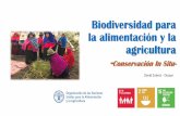 Biodiversidad para la alimentación y la agriculturainabio.biodiversidad.gob.ec/wp-content/uploads/2019/02/David_Suarez...biodiversidad para la alimentación y la agricultura •Incluye