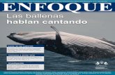 Las ballenas hablan cantando - usfq.edu.ec · los animales. Las grabaciones son guardadas digitalmente y luego son anali-zadas mediante programas acústicos. En esta actividad par-ticipan