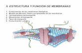 II. ESTRUCTURA Y FUNCIÓN DE MEMBRANASdepa.fquim.unam.mx/amyd/archivero/Membranas1_33030.pdf · II. ESTRUCTURA Y FUNCIÓN DE MEMBRANAS 1. Componentes de las membranas biológicas