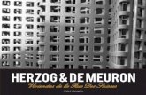 HERZOG & DE MEURON - arquiblog.uniandes.edu.co · Herzog & De Meuron y en el proyecto de viviendas de la Rue Des Suisses ya que se apega a la propuesta del espacio social propuesto