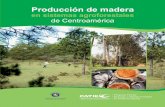 Producción de maderarepositorio.bibliotecaorton.catie.ac.cr/.../3512/Produccion_de_madera... · CATIE (Centro Agronómico Tropical de Investigación y Enseñanza) es un centro regional