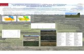 DIVERSIDAD FITOCENÓTICA Y ESPECIES INDICADORAS DE LOS ... Rodriguez-Rojo et... · diversidad fitocenÓtica y especies indicadoras de los pastos herbÁceos del sistema ibÉrico en
