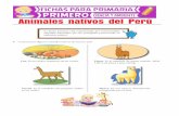 Animales nativos del Perú - actividadeseducativas.net · La fauna peruana está representada por innumerables animales autótrofos que son protegidos preservando su ambiente natural.