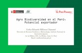 Agro Biodiversidad en el Perú, Potencial exportador · animales, plantas y microorganismos en los niveles genético, de especies y de ecosistemas que son necesarios para mantener