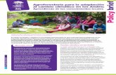 Agroforestería para la adaptación al cambio climático en ...old.worldagroforestry.org/downloads/Publications/PDFS/PB16211.pdf · enfermedades animales. Policy brief Policy Brief