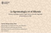 La Agroecología en el Mundo · A pesar de la diversidad de situaciones observadas en las regiones, las iniciativas exitosas en agroecología comparten una serie de puntos comunes