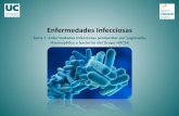 Enfermedades Infecciosas. Tema 7. Enfermedades Infecciosas ...207.pdf · Tema 7. Enfermedades Infecciosas producidas por Legionella, Haemophilus y bacterias del Grupo HACEK Author: