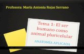 Profesora: María Antonia Rojas Serranomariarojas.iescla.org/wp-content/uploads/2018/09/El-hombre-como-animal... · El ser humano, al igual que el resto de seres vivos, lleva a cabo