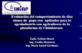 Evaluación del comportamiento de diez clones de papa con ...cipotato.org/wp-content/uploads/congreso ecuatoriano 2/M.I.pdf · Parroquia: Pungalá Comunidad: Purguay-San Gerardo ...