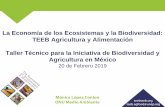 La Economía de los Ecosistemas y la Biodiversidad: TEEB ...teebweb.org/.../uploads/2019/04/2.1-Technical-Workshop_TEEBAgriFood.pdf · beneficios en ecosistemas, paisajes y biodiversidad,