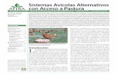Sistemas Avícolas Alternativos ATTRA con Acceso a Pastura · aves de corral y permite que las aves expre-sen su comportamiento natural como es forrajear y revolcarse en la tierra.