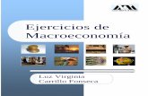 Ejercicios de Macroeconomía - csh.xoc.uam.mxcsh.xoc.uam.mx/economia/Documentos/Ejercicios_  · PDF filec) Consumo, inversión, gasto del gobierno y exportaciones menos importaciones.