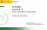 ICASEL I.N.S.S.T. · Funciona en todos los sectores de giro Avisa al operador e impide movimientos peligrosos de la carga - Limitador/indicador de giro (si la C.N. es menor en algunos