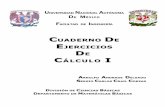 CUADERNO DE JERCICIOS DE CÁLCULO I - dcb.fi-c.unam.mxdcb.fi-c.unam.mx/Publicaciones/Catalogo/archivos/21.pdf · La idea y la realización de este cuaderno de ejercicios fueron fundamentalmente
