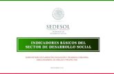 INDICADORES BÁSICOS DEL SECTOR DE DESARROLLO SOCIALsedesol.gob.mx/work/models/SEDESOL/Resource/143/1/images/c5.pdf · •Tasa bruta de natalidad, tasa de crecimiento real, tasa global