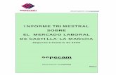 INFORME TRIMESTRAL SOBRE EL MERCADO LABORAL DE …empleoyformacion.jccm.es/fileadmin/user_upload/observatorio... · observatorio ocupacional PREÁMBULO: En este primer Informe Trimestral
