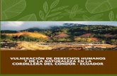 VULNERACIÓN DE DERECHOS HUMANOS Y DE LA NATURALEZA … · Este informe resume los graves impactos a los derechos humanos y a los derechos de la naturaleza ocurridos en la Cordillera