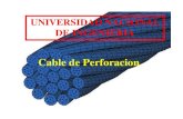 UNIVERSIDAD NACIONAL DE INGENIERIA filePreformado: El preformado es el proceso en el cual las hebras son previamente torcidas en una forma helicoidal antes de formar el cable. Mejora