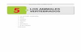 ADAPTACIÓN CURRICULAR 5 LOS ANIMALES VERTEBRADOSiesjimenezlozano.centros.educa.jcyl.es/sitio/upload/VERTEBRADOS... · Adaptación curricular. Los animales vertebrados 5 5. AVES Las