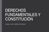 DERECHOS FUNDAMENTALES Y CONSTITUCIÓN“N.pdf · Derechos Fundamentales •Conformado por el conjunto de preceptos que reconocen derechos de las personas y grupos, contenidos en
