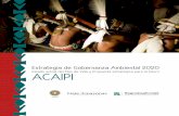 Estado actual del Plan de Vida y Propuesta estratégica ... · Asociación de Capitanes y Autoridades Tradicionales Indígenas del Río Pirá Paraná ACAIPI Estrategia de Gobernanza