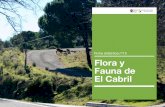 Ficha didáctica nº15 Flora y Fauna de El Cabril · repoblaciones, adehesamiento de los encinares para favorecer los pastos o siembra de cereales u otros cultivos de subsistencia.
