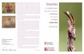 Insectes fileInsectes Una mirada macro dels petits habitants de Montsant i muntanyes de Prades d’Isidre Fabra Empusa (Empusa pennata) Bellesa, tranquil·litat, contemplació i silenci.