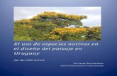 El uso de especies nativas en el diseño del paisaje en Uruguay · En este sentido, parece importante acompañar desde el diseño y el paisajismo el quiebre epistemológico y estético