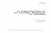 La Tripanosomiasis en los animales domésticos en Colombiaciat-library.ciat.cgiar.org/ciat_digital/CIAT/books/historical/159.pdf · de tripanosoma es monom6rfica, puesto que entre