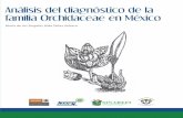 Análisis del diagnóstico de la familia Orchidaceae en México · Análisis del diagnóstico de la familia Orchidaceae en . México. María de los Ángeles Aída Téllez Velasco.